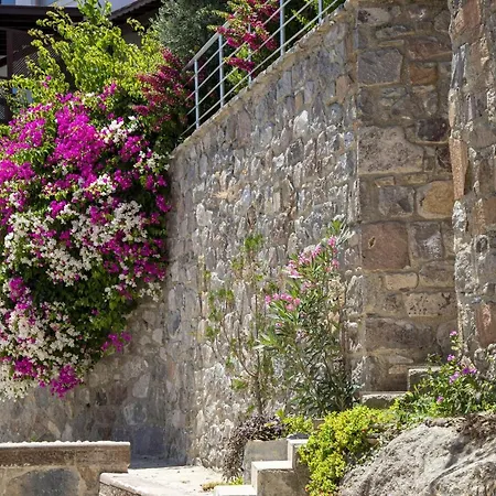 빌라 3 Bedroom Comfy House With Peaceful View In Yalikavak *
