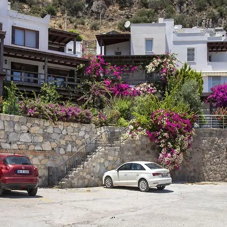 빌라 3 Bedroom Comfy House With Peaceful View In Yalikavak Bodrum