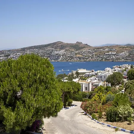 3 Bedroom Comfy House With Peaceful View In Yalikavak